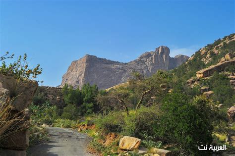 IN PICTURES: Saudi Arabia’s south a beautiful natural landscape | Al Arabiya English