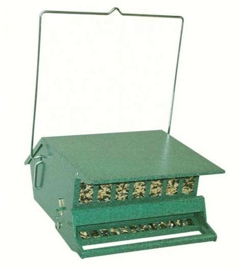 Squirrel Proof Bird Feeders Archives - Backyard Chirper