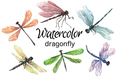 Dragonfly watercolor clip art By Goodfairyclipart | TheHungryJPEG