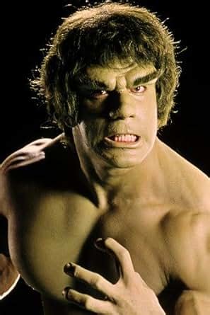 The Incredible Hulk Lou Ferrigno 24X36 Poster at Amazon's Entertainment Collectibles Store