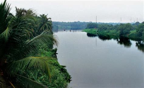 Periyar river in Kerala - aalmaramspot