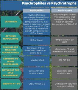 Difference Between Psychrophiles and Psychrotrophs | Compare the Difference Between Similar Terms