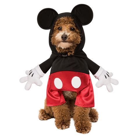 Pet Costumes With Disney Style!