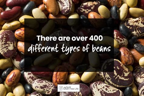 Beans Vs. Legumes: Nutritional Benefits and Differences