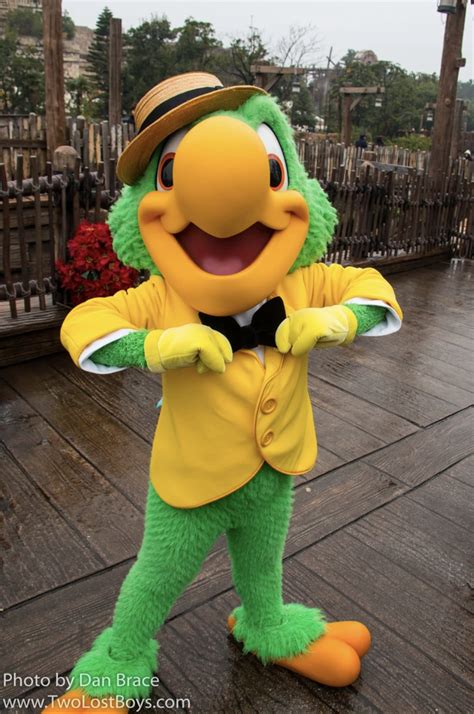 José Carioca | Disney Parks Characters Wiki | FANDOM powered by Wikia