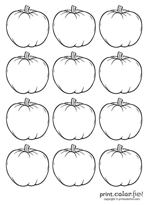 small pumpkins blank - Google Search | Pumpkin coloring pages, Christmas tree coloring page ...