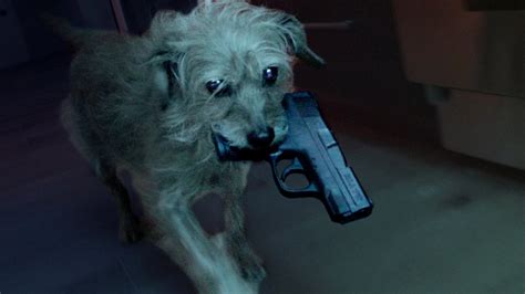 Dog Wick é uma versão de John Wick na qual o cachorro se vinga pelo humano assassinado - NerdBunker