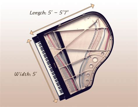 Baby Grand Piano Floor Plan | Viewfloor.co