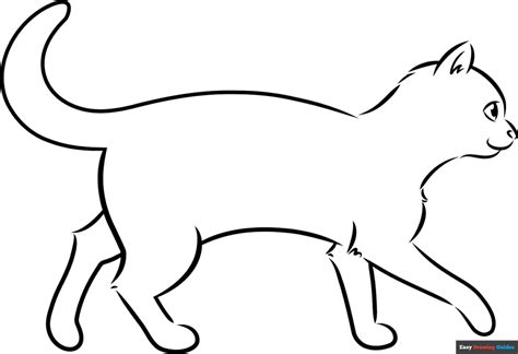 Cat Outline Drawing