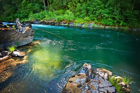 Exploring the Waters and Trails of the North Umpqua Valley — Bend Magazine