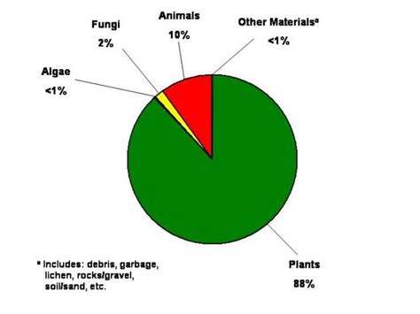 Food Habits of Feral Hogs – Wildlife Damage Management