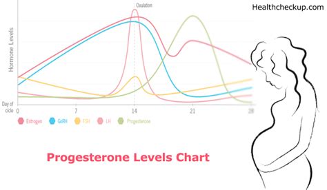 Progesterone Levels Chart- High, Low, And Normal Range