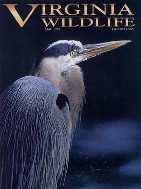 Virginia Wildlife Magazine | TopMags