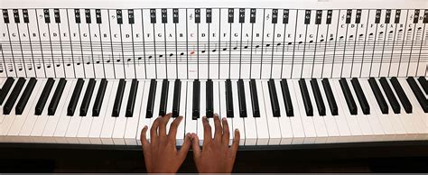 Labeled Piano Keys Number | lupon.gov.ph
