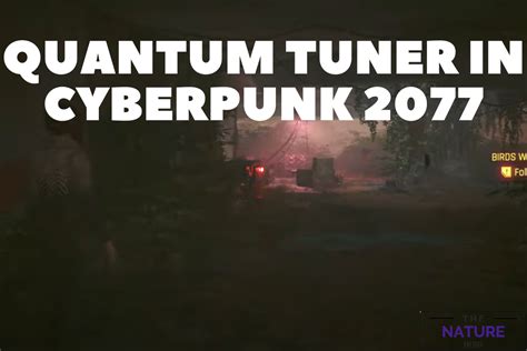 How To Obtain The Quantum Tuner In Cyberpunk? - The Nature Hero