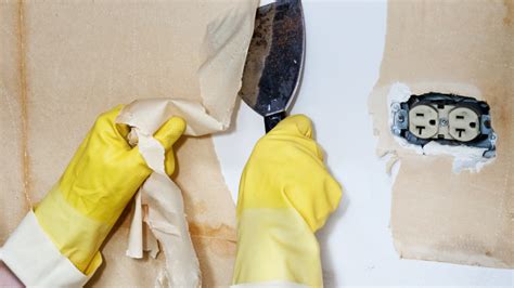 Commercial Wallpaper Removal: A Step-by-Step Guide | CoreCom Commercial ...