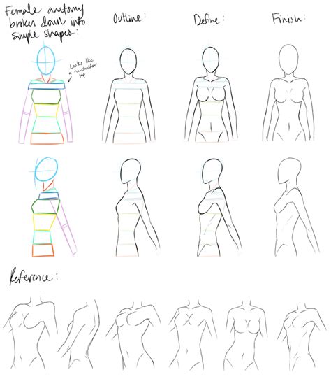 Female anatomy Reference by DeviantTear on DeviantArt