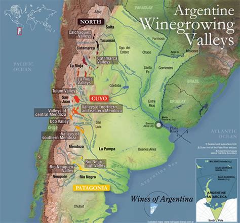 Argentinian Red Wines