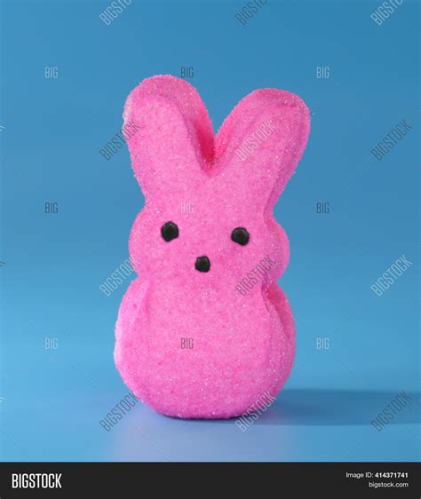 Pink Easter Peep, Image & Photo (Free Trial) | Bigstock