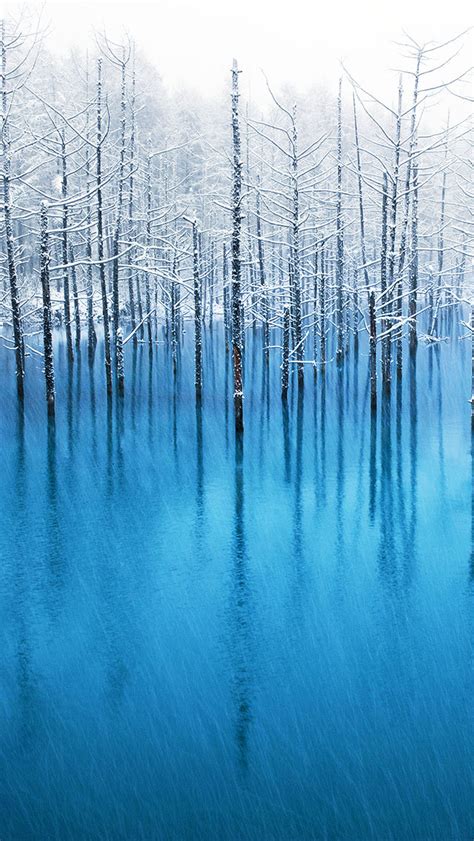 Blue Pond Hokkaido - The iPhone Wallpapers