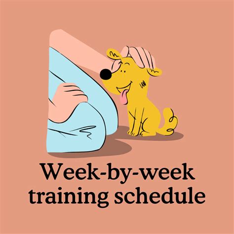 Week-by-week Puppy Training Schedule for 8-16 Weeks Old — Zigzag Puppy ...