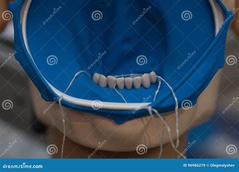 Tools for Dental Prosthetist Drill Box Set Stock Image - Image of measurement, cleaning: 96986279