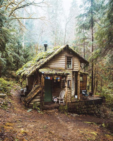 A small, cozy cabin deep in the woods (x-post from /r/nocontextpics ...