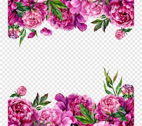 Flower Border Png File | Best Flower Site