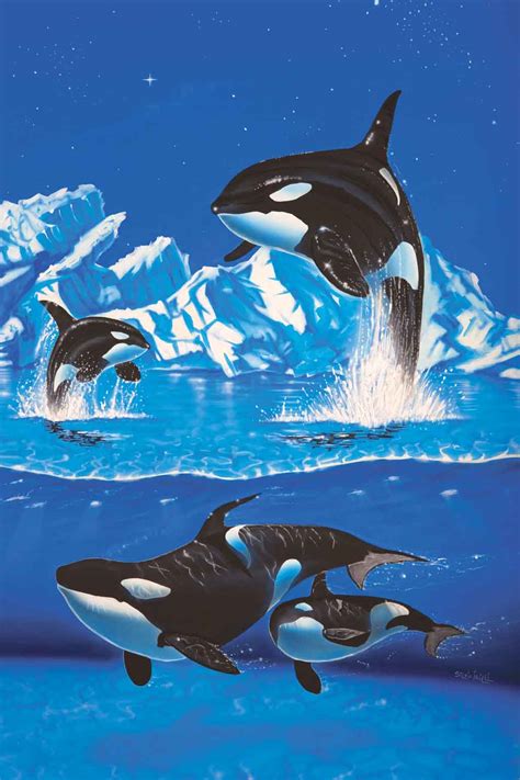 Orca Family (Killer Whale Family) | Hi-Look Online