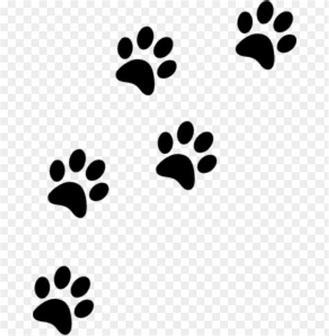 Download cat paw prints png images background | TOPpng