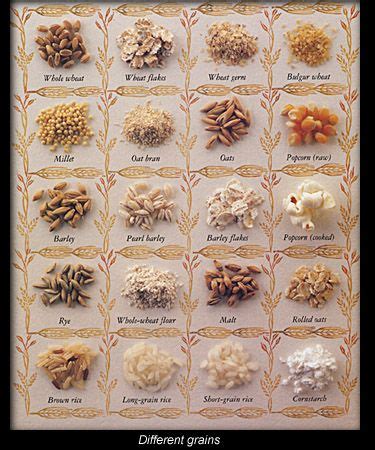 Grain Plant Identification Chart