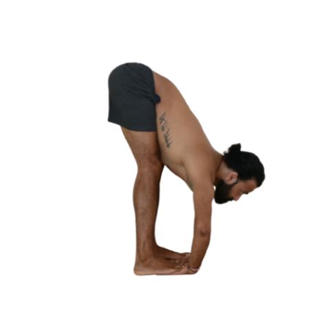 Pada Hastasana | Hand to Feet Pose - Devvrat Yoga Sangha