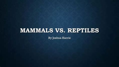 PPT - Mammals vs. Reptiles PowerPoint Presentation, free download - ID ...