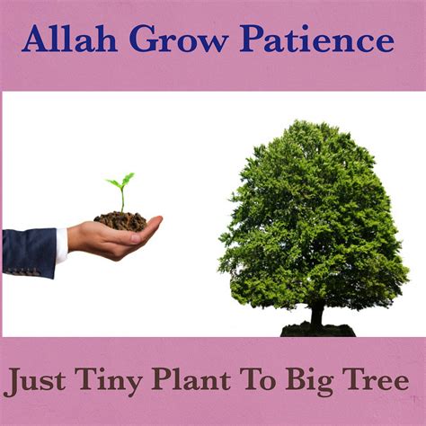 Be Patience and close to Allah.. In the Qur'an, Allah Almighty is… | by ...