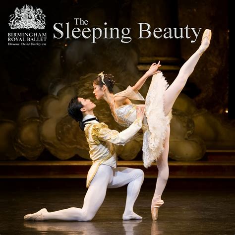 The Theatre Blog: THE SLEEPING BEAUTY (BIRMINGHAM ROYAL BALLET) Review October 2013