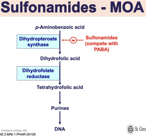 Antibiotics that effect Nucleic Acid Synthesis Flashcards | Quizlet