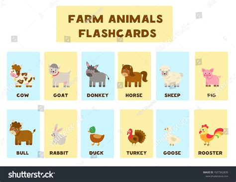 68,198 Cartoon baby horses Images, Stock Photos & Vectors | Shutterstock