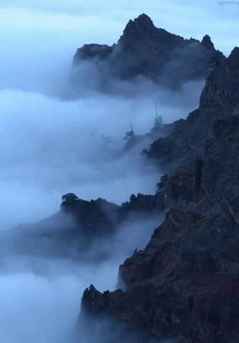 Fog Mountain GIFs | Tenor