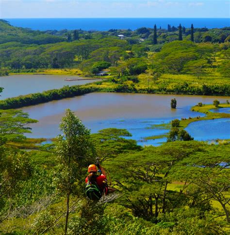 Koloa Zipline Adventure Tour | Best Zipline Tours on Kauai