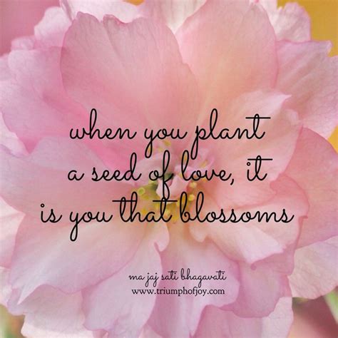 “When you plant a seed of love, it is you that blossoms.” | Blossom ...