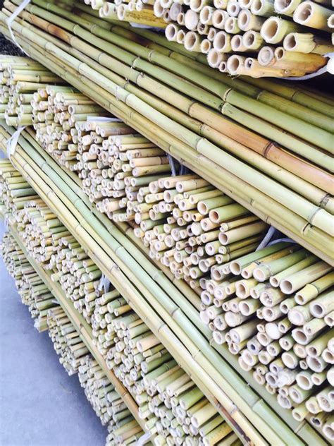 Wholesale Natural Straight Moso Bamboo Poles With Decorative Plants ...