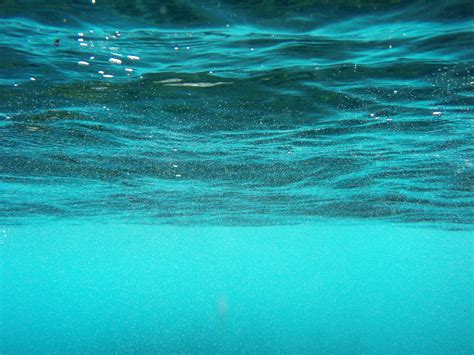 File:Underwater world.jpg - Wikipedia