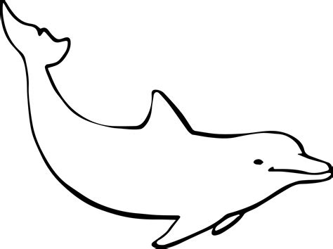 Dolphin Drawing Free Stock Photo - Public Domain Pictures