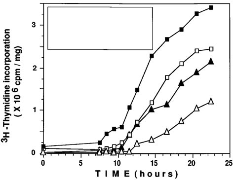 Kinetics of S phase entry in parental and cyclin D1 expressing cells ...