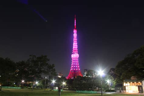 JAPANTWO Blog » Blog Archive » Pink Tokyo Tower 2010 | Tokyo,Japan guide to Travel, Living, Food ...