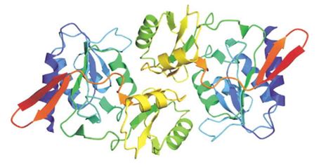 Psychology of Medicine: Ribose-5-phosphate isomerase