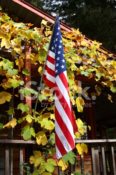 Usa American Flag And Fall Colors Stock Photo | Royalty-Free | FreeImages