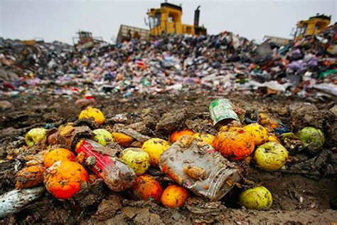 Aussies need to shed the waste to halve food waste by 2030 - Waste ...