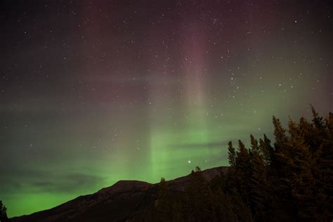 How To See The Northern Lights in Banff