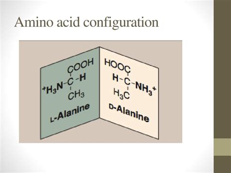 PPT - Amino acids PowerPoint Presentation, free download - ID:6032806